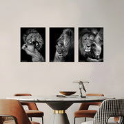 LION FAMILY SET